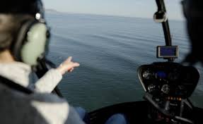 Spotting whales from the cockpit over Walker Bay